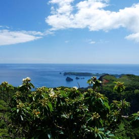 Les îles d’Ogasawara