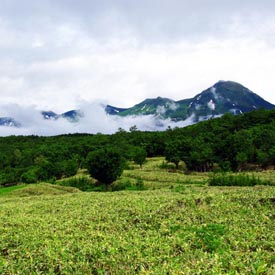 La péninsule de Shiretoko