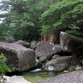 L’île de Yakushima