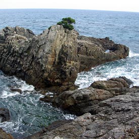 L’île de Yakushima