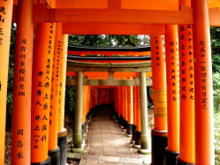 La fameuse allée de torii dans la ville de Kyoto.