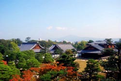 l’intérieur du château de la ville de Kyoto où la photo a été prise durant l’automne.